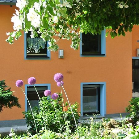 Ferienwohnung Zur Muhle Sotzweiler Esterno foto