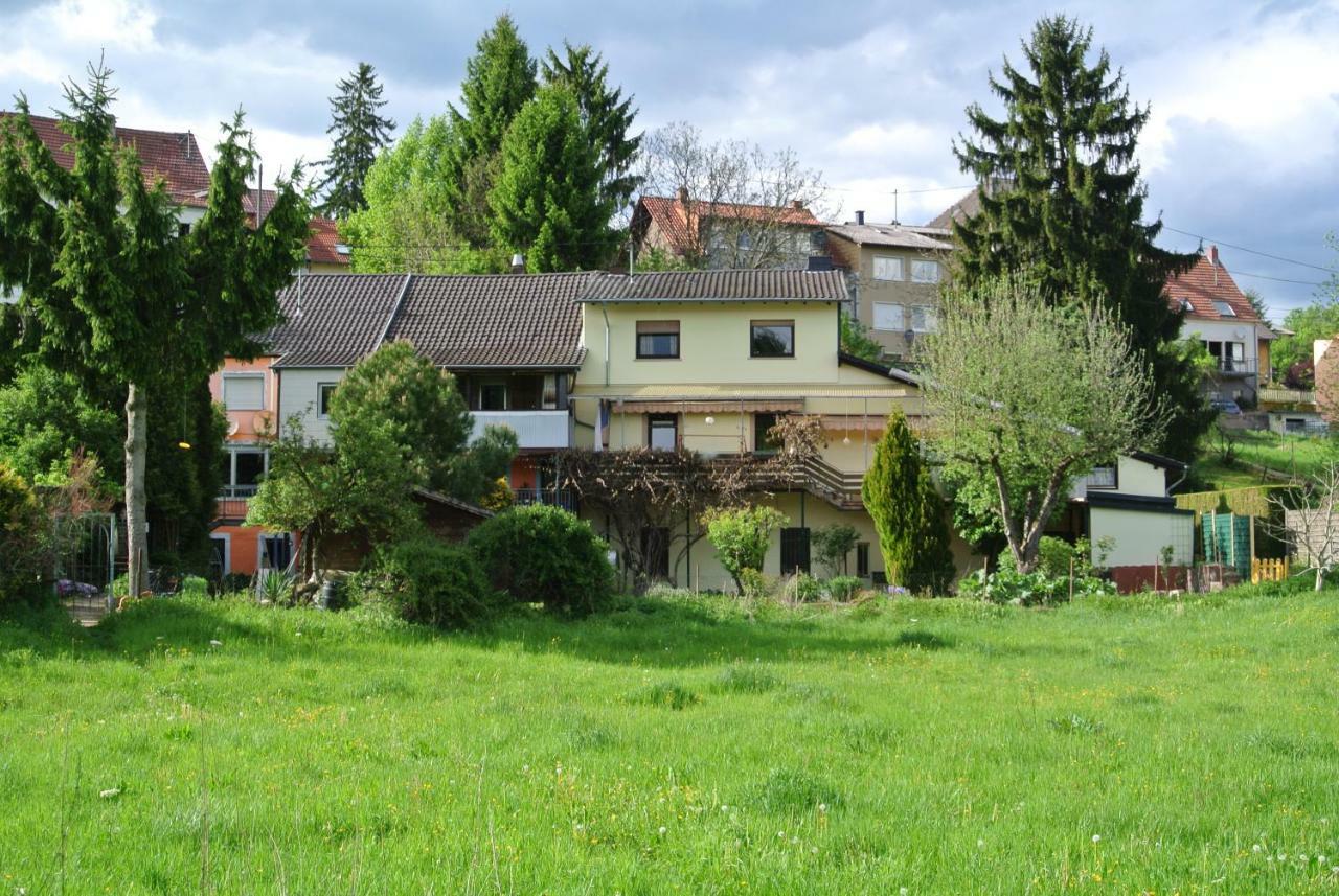 Ferienwohnung Zur Muehle Sotzweiler Esterno foto