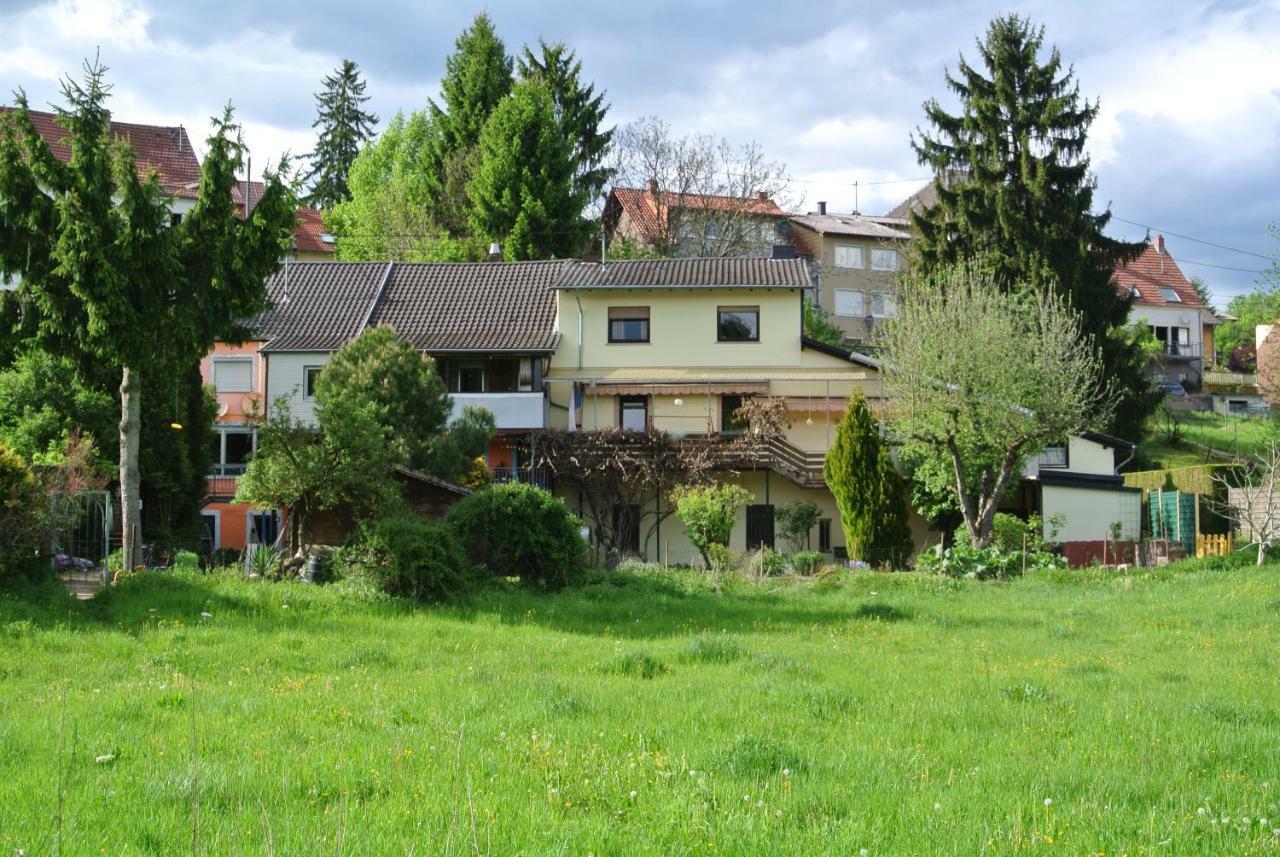 Ferienwohnung Zur Muhle Sotzweiler Esterno foto