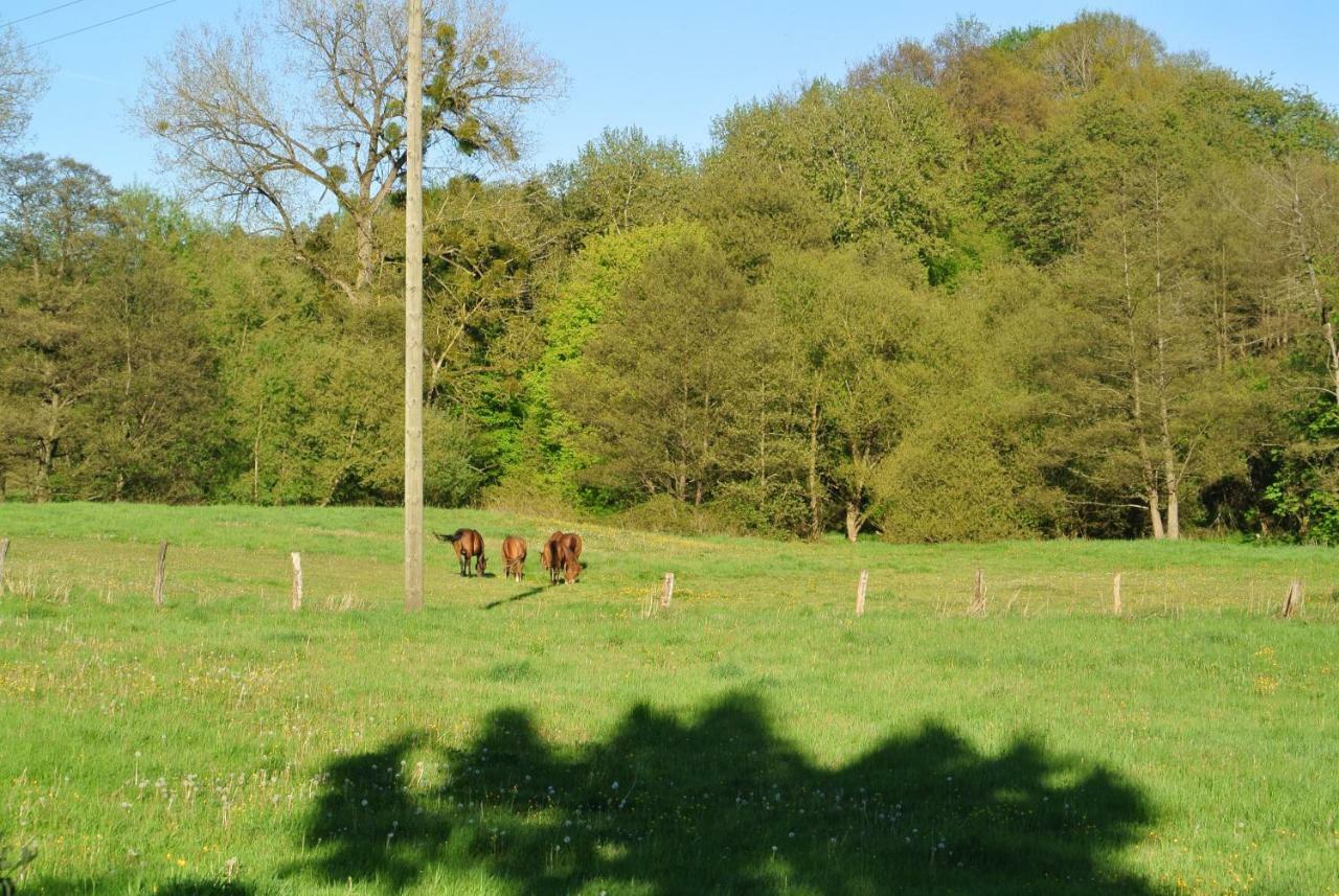 Ferienwohnung Zur Muhle Sotzweiler Esterno foto