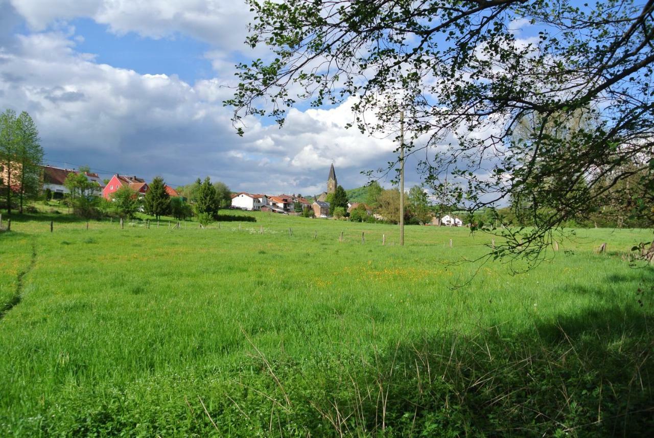 Ferienwohnung Zur Muehle Sotzweiler Esterno foto