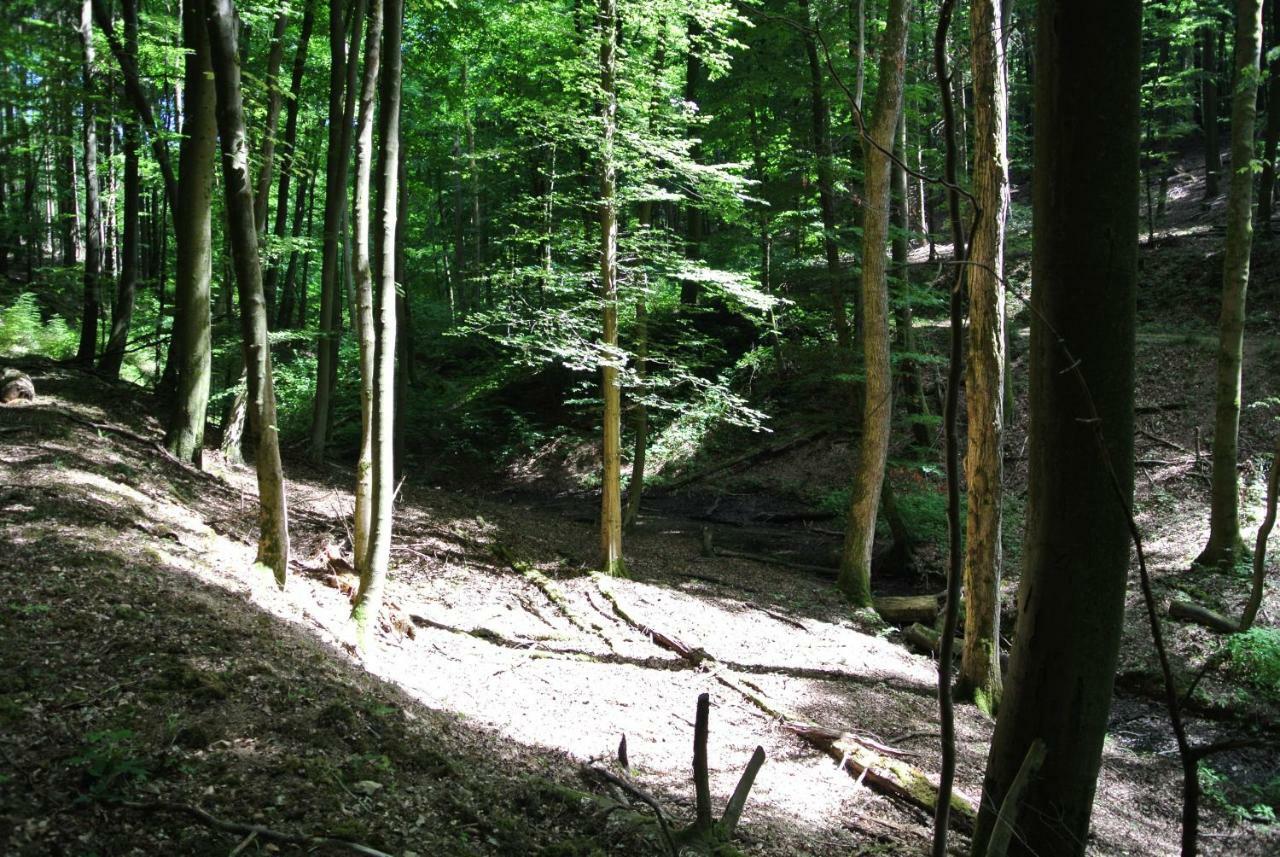 Ferienwohnung Zur Muehle Sotzweiler Esterno foto