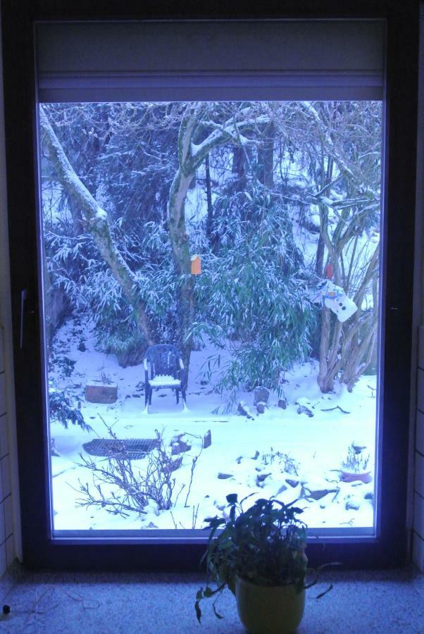 Ferienwohnung Zur Muehle Sotzweiler Esterno foto