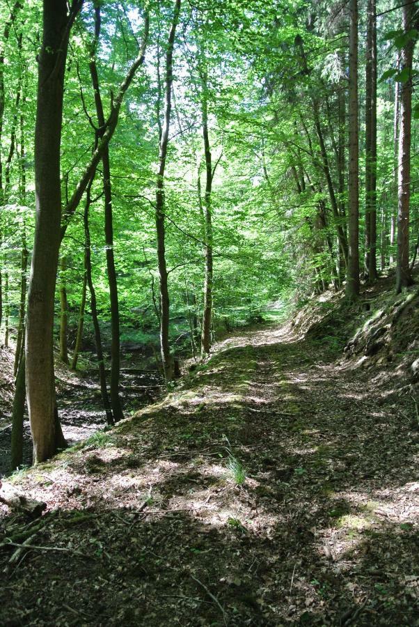 Ferienwohnung Zur Muhle Sotzweiler Esterno foto