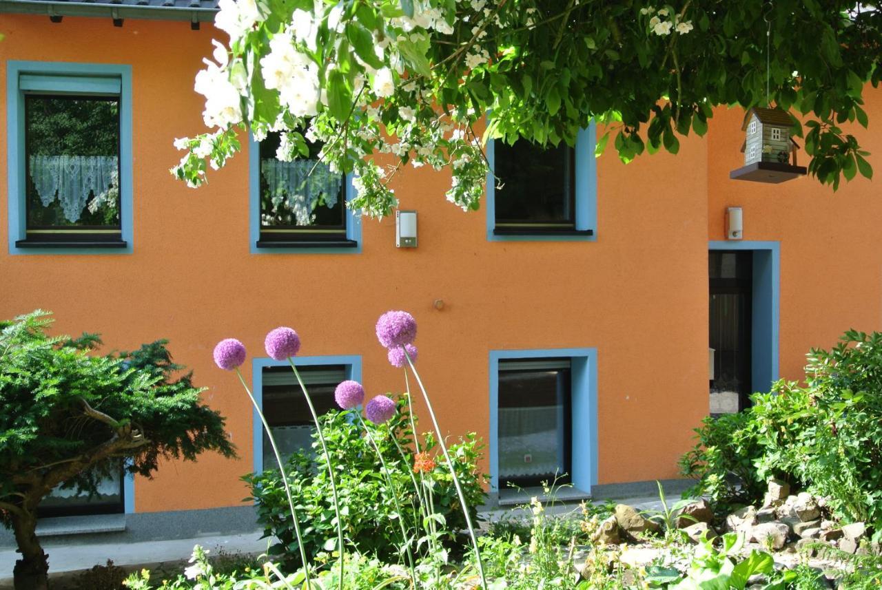 Ferienwohnung Zur Muhle Sotzweiler Esterno foto